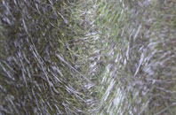 High Sunderland fibreglass roof work